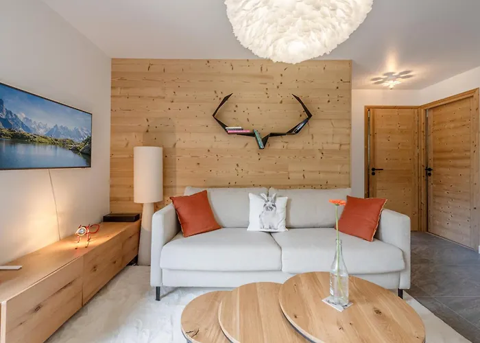 Moderne A Avec Parking Et Wifi - Fr-1-343-265