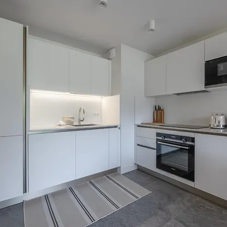 Moderne A Avec Parking Et Wifi - Fr-1-343-265 * 霞慕尼